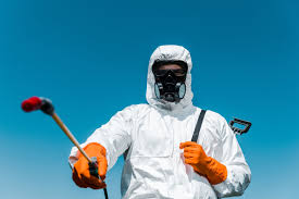 Best Fumigation Services  in Blue Island, IL